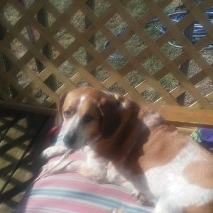 Meet your Posher, Sheila